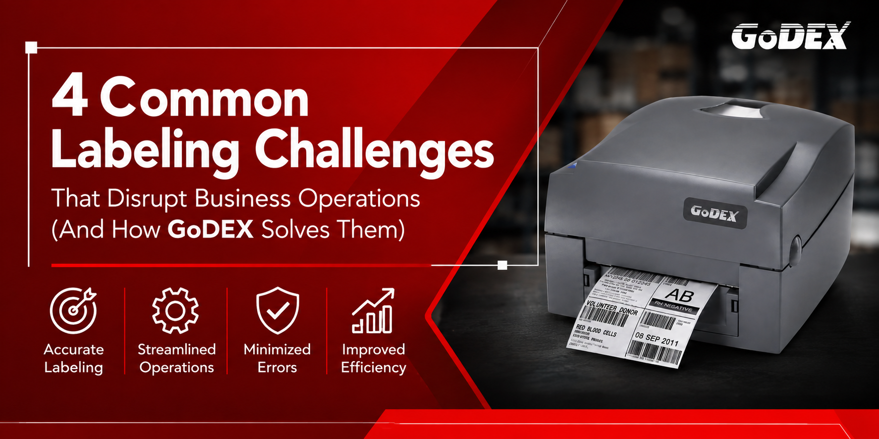 GoDEX Labeling Challenges Solved